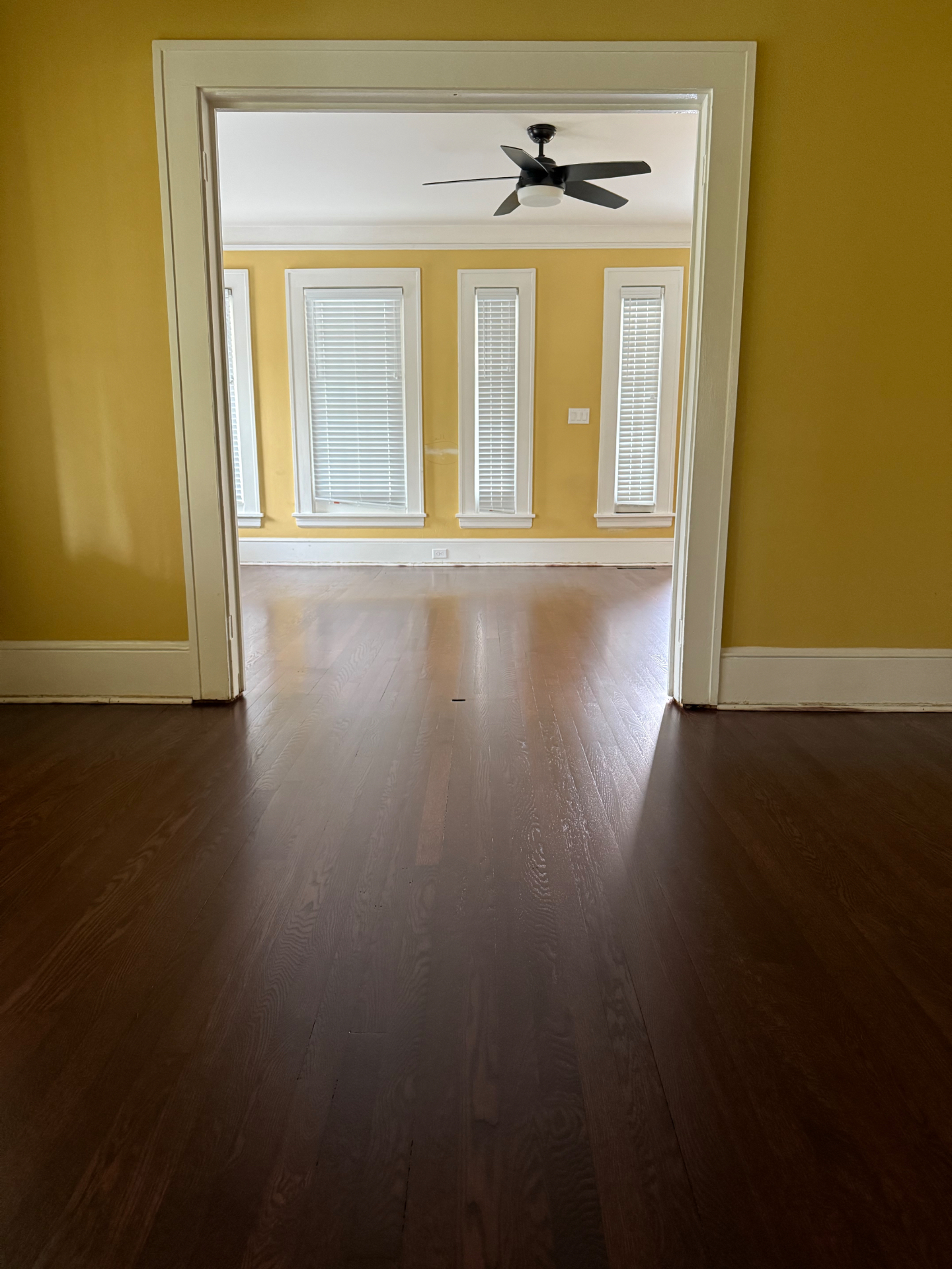 1924 West Asheville, Termite Repair and Loba Mahogany after restoration